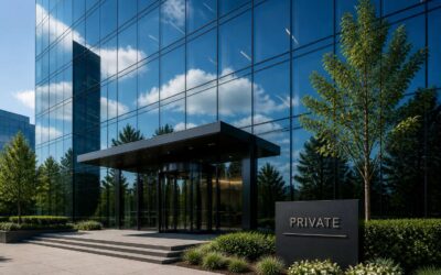 Look at these private company examples before pitching investors.